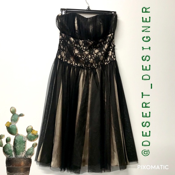 White House Black Market Dresses & Skirts - White House Black Market Black Lace Strapless sz 4